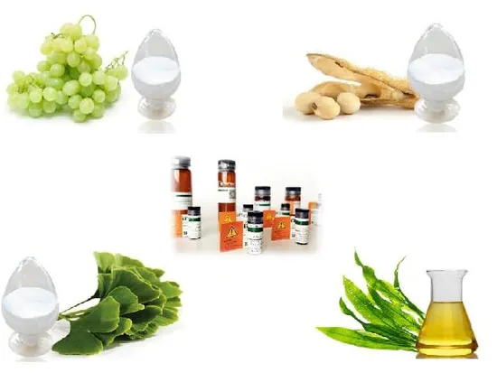 ISO Certified Plant Extract Kavain 98% 500